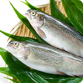 山梨県産の新鮮なニジマス